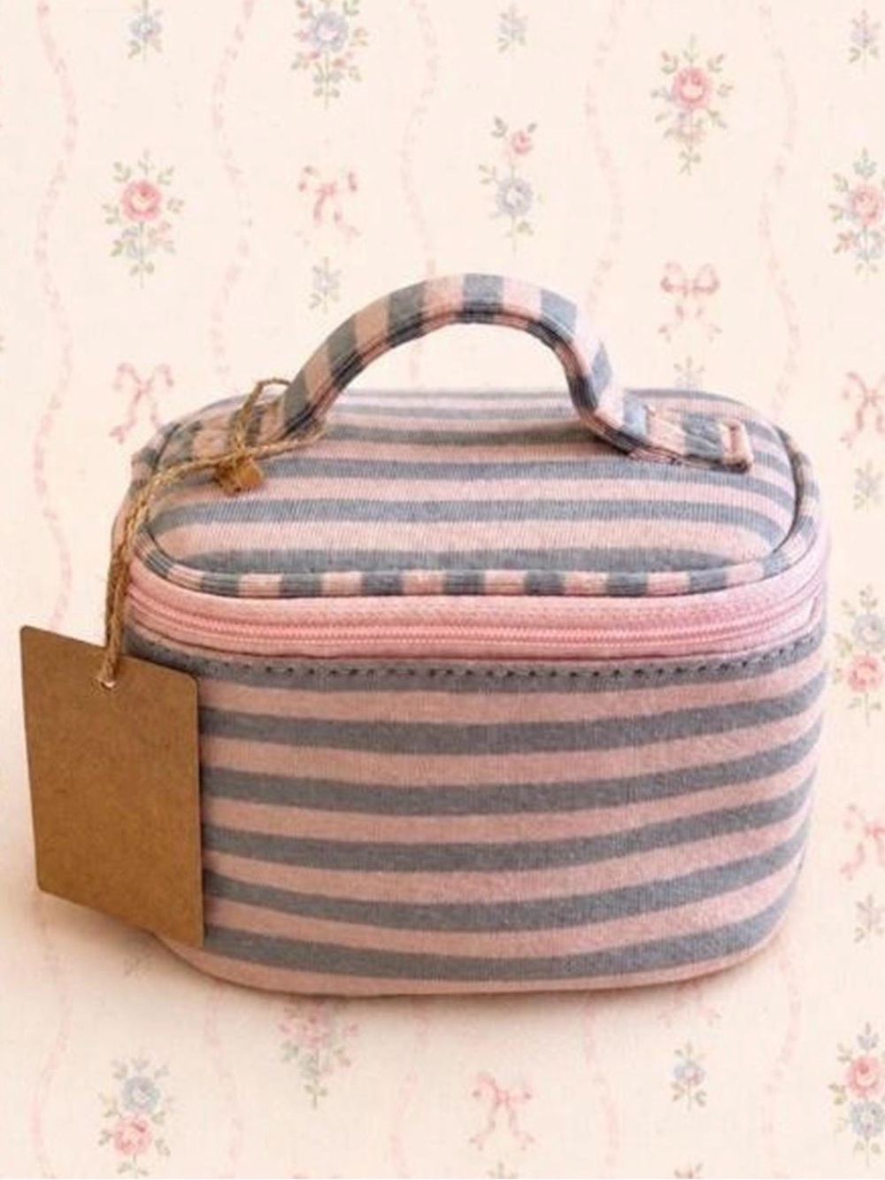 Brandy Melville Striped Pink and Gray Vanity/Makeup Bag
